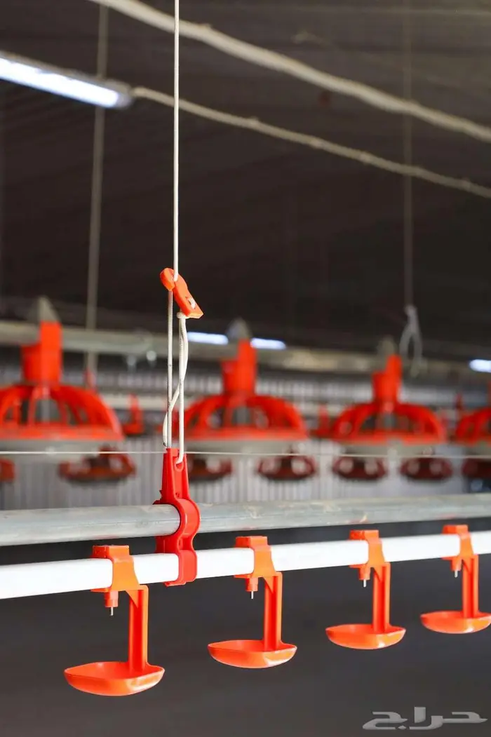 مستلزمات حظائر عنابر الدواجن (معالف-مشارب-صناديق-قطع غيار) 1