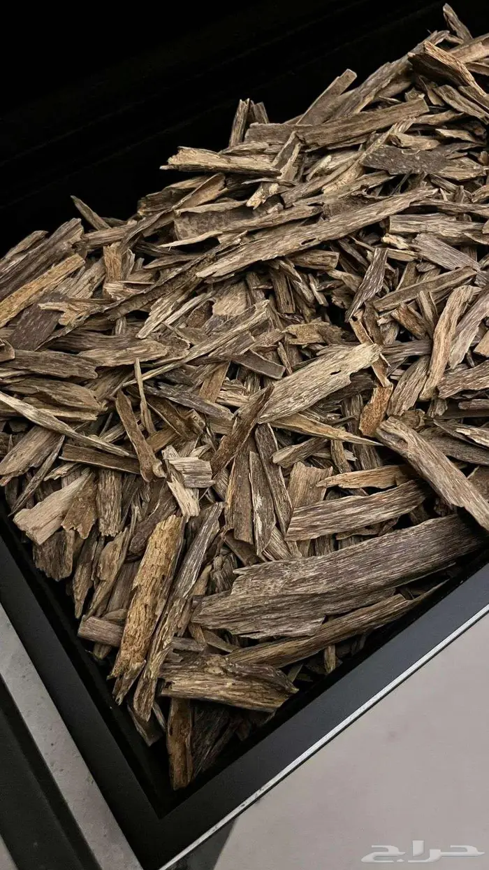 عود هندي طبيعي سيسور وزورا وتشار 4