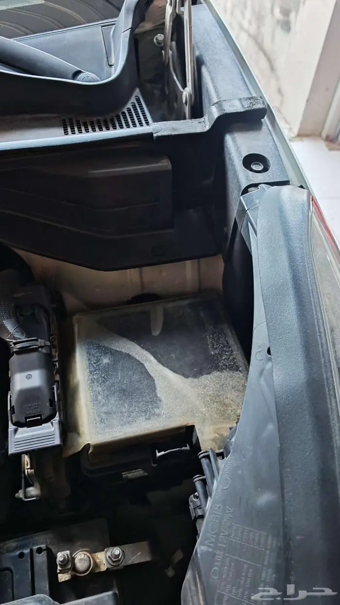 سبورتاج 2019 22