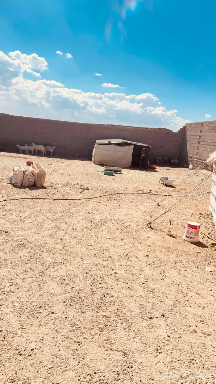 شبوك غنم وخيمه وحنفيه فيبر للبيع 10