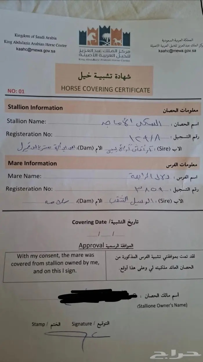 فرس مهره واهو بوراقها 3