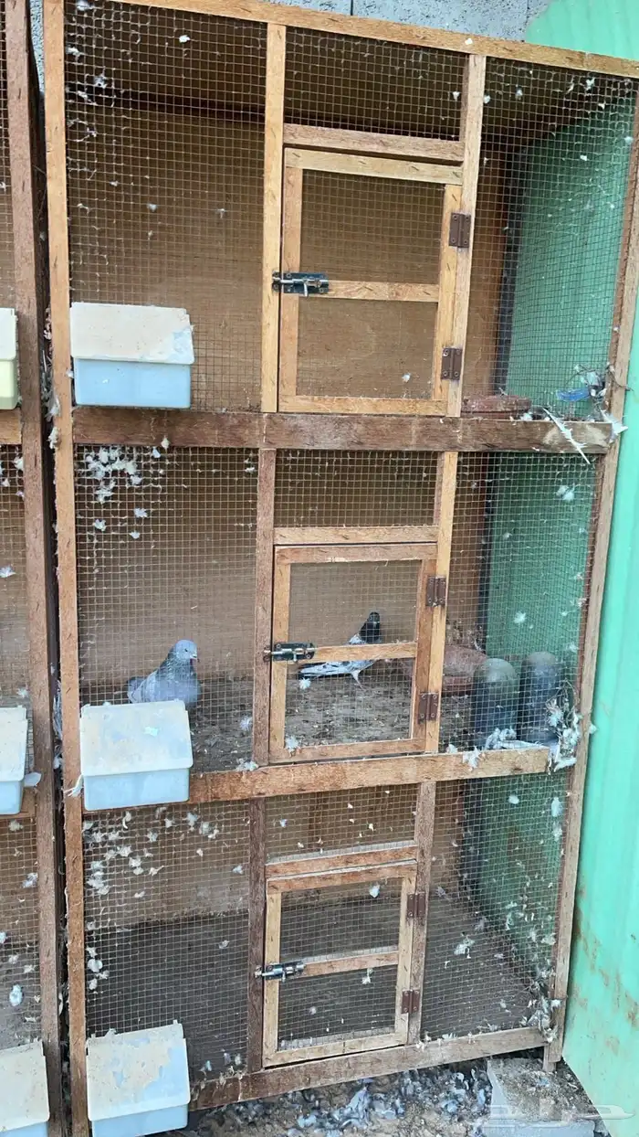 محاكر خشب للبيع 2