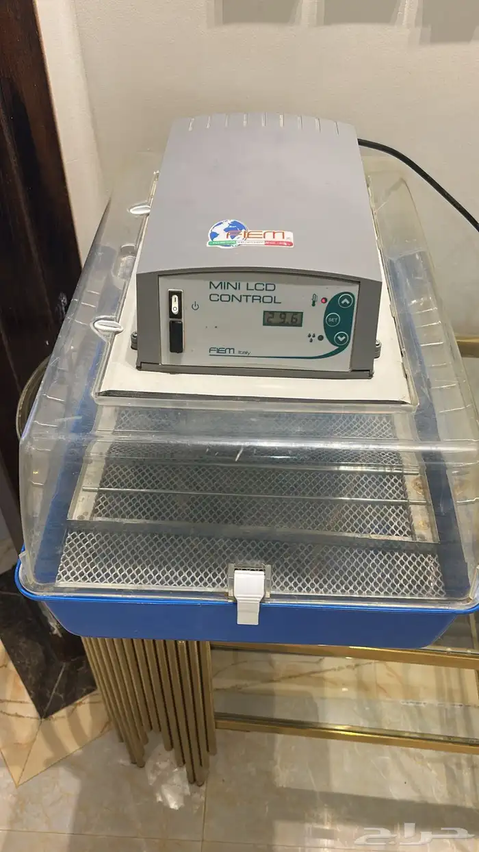 فقاسه فيم الايطاليه 0