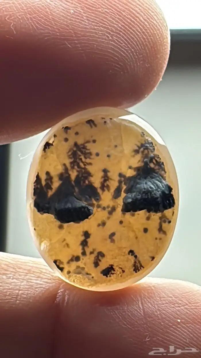 عقيق يماني شجري مصور نوادر 33