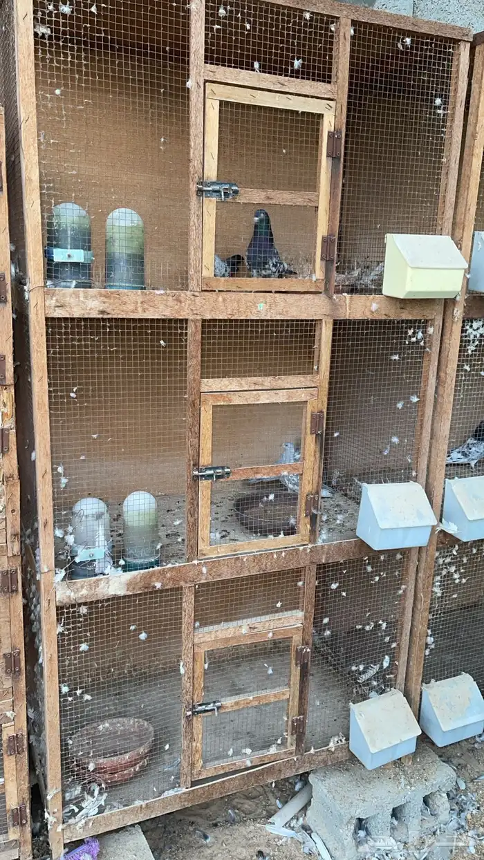 محاكر خشب للبيع 1