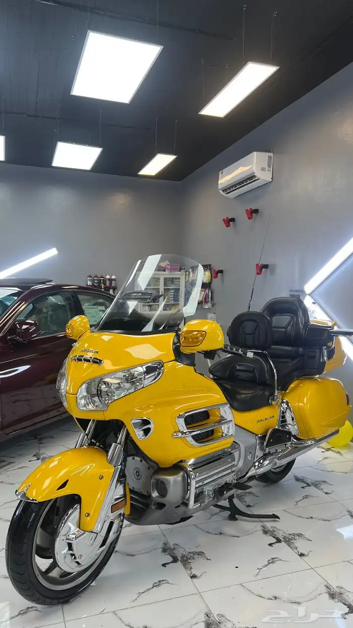 قولد ونق 2010 11