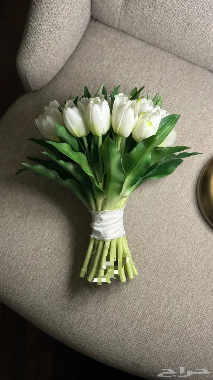 مسكة توليب للبيع 0