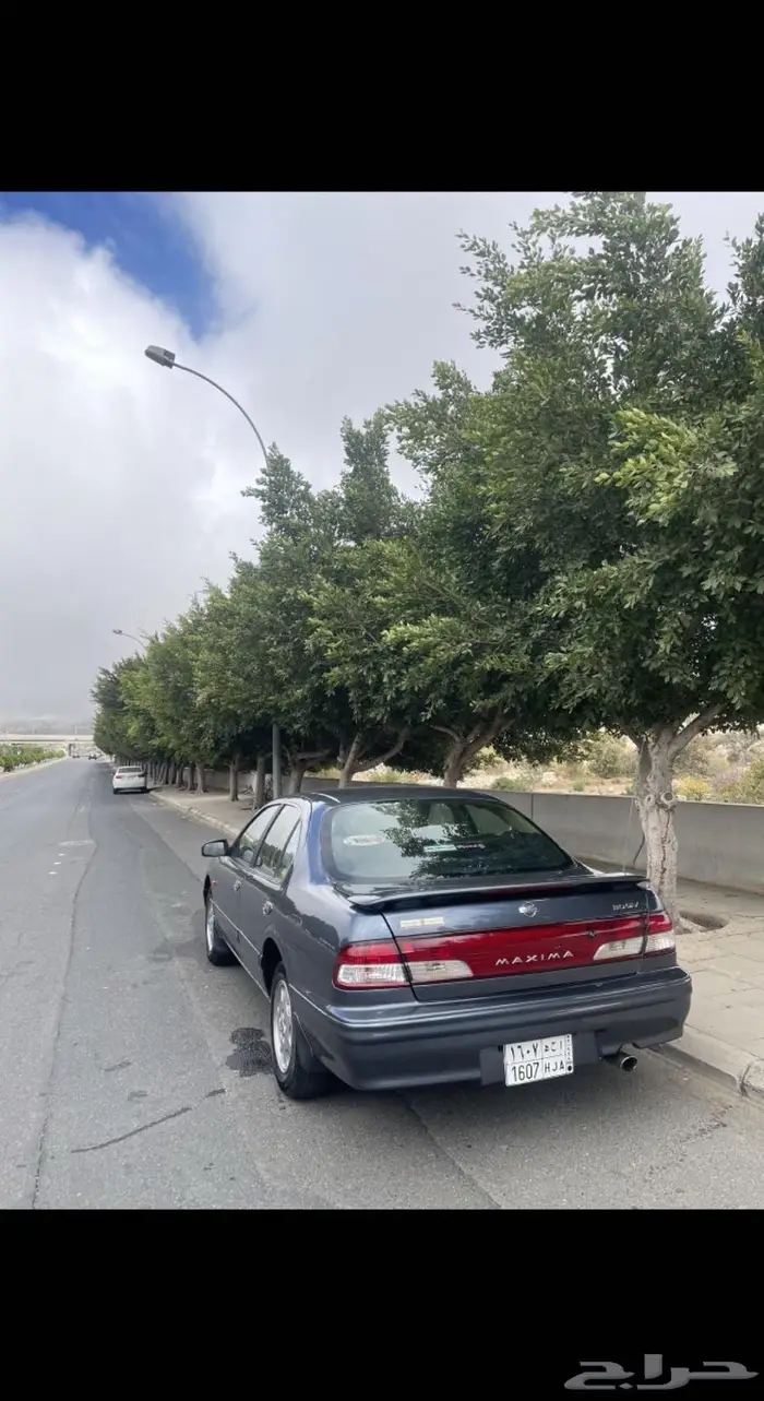 مكسيما 1999 للبيع 3