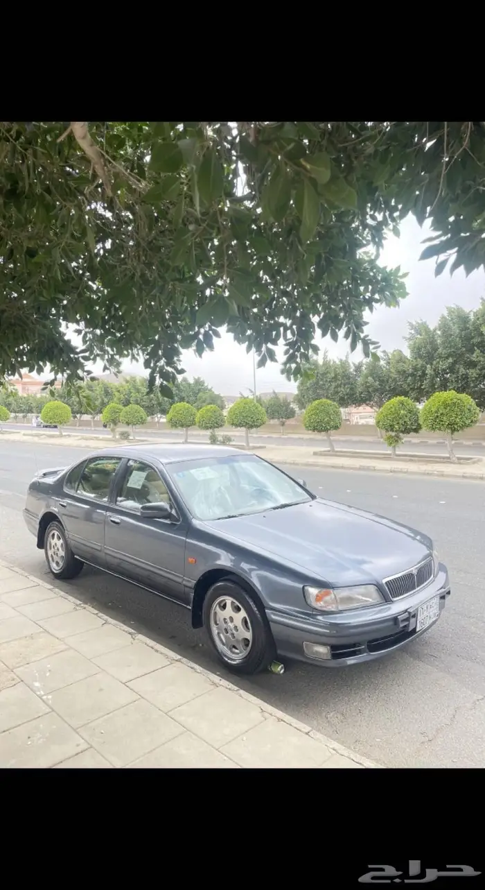 مكسيما 1999 للبيع 4