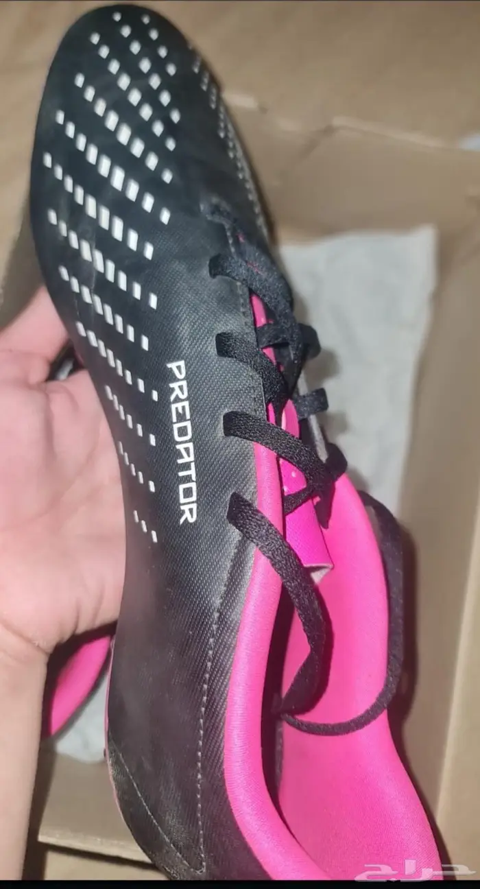 رياض الخبراء 2