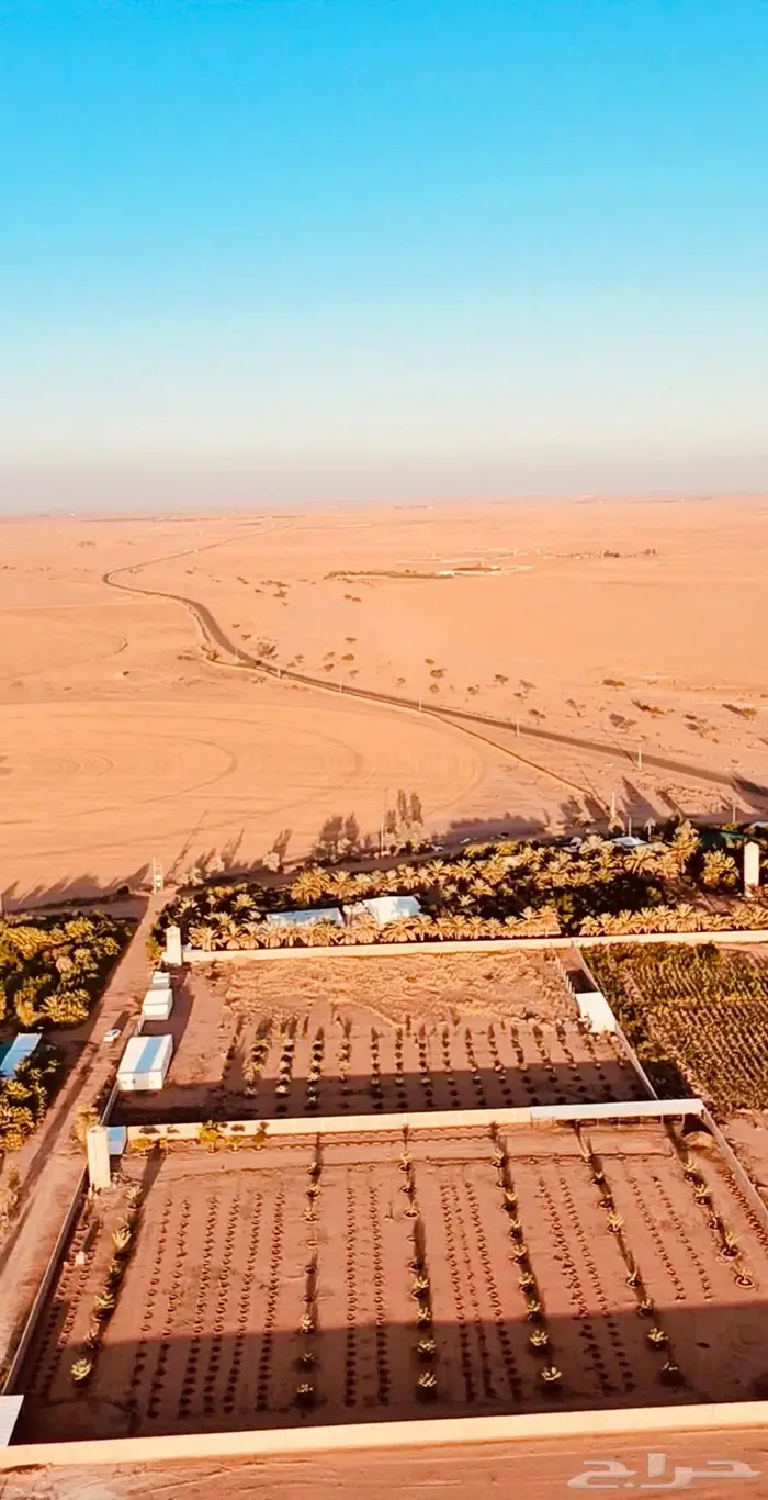 مزرعة للبيع ( حايل ) طريق حقروصين 0