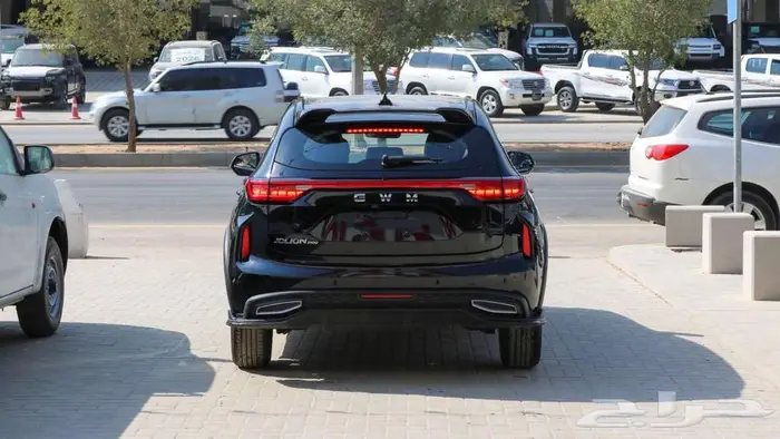 هافال جوليان برو اكتيف بلس 2025 كاش وتقسيط 20