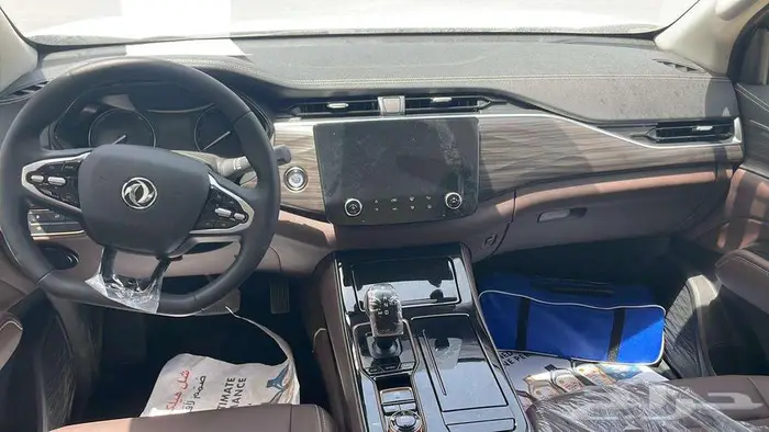 دونج فينج ريتش 7 2025 4