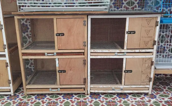 اقفاص حمام محاكر نظيفه مثل الجديد 2