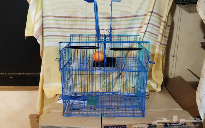 مصايد طيور ممتازة وعملية جدا 4