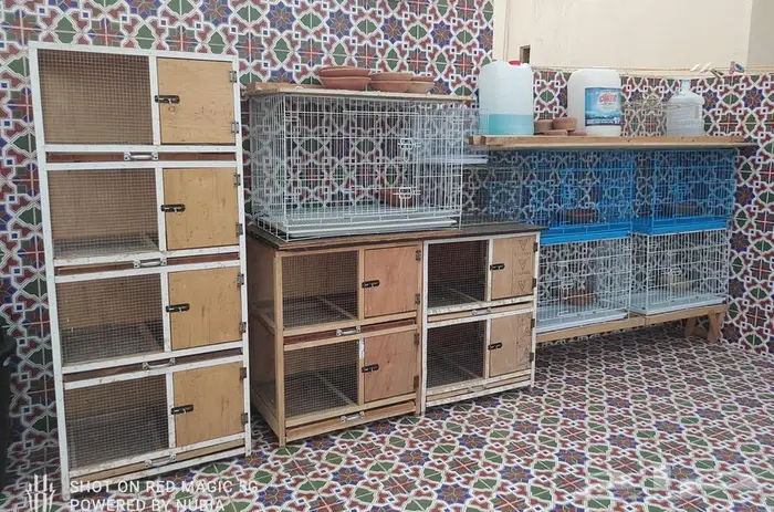 اقفاص حمام محاكر نظيفه مثل الجديد 0