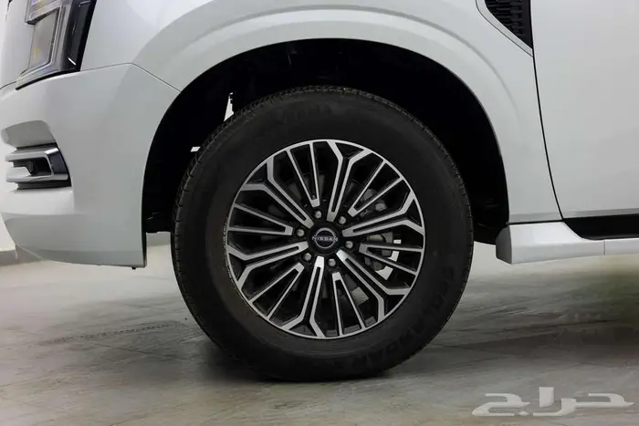 نيسان باترول بلاتنيوم تنفس طبيعي 2026 6