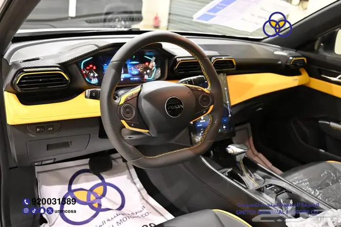 دونق فينق شاين 2025 E2 نص فل سعودي 14