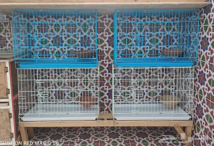 اقفاص حمام محاكر نظيفه مثل الجديد 1