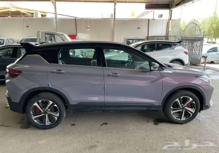 كول راي فل كامل - 2025 5