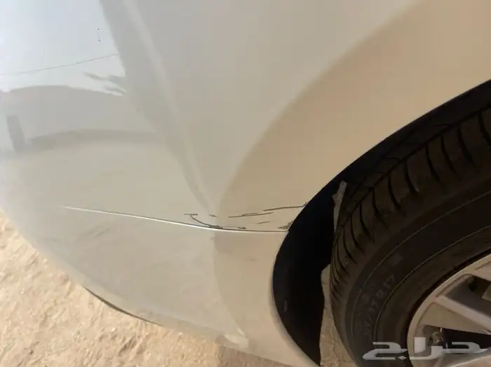 أفالون تورنق 2020 26