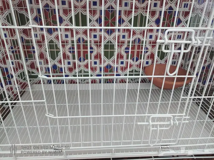 اقفاص حمام محاكر نظيفه مثل الجديد 5