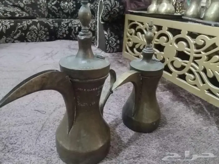 دلال قشريات ودلال الرسلان 8