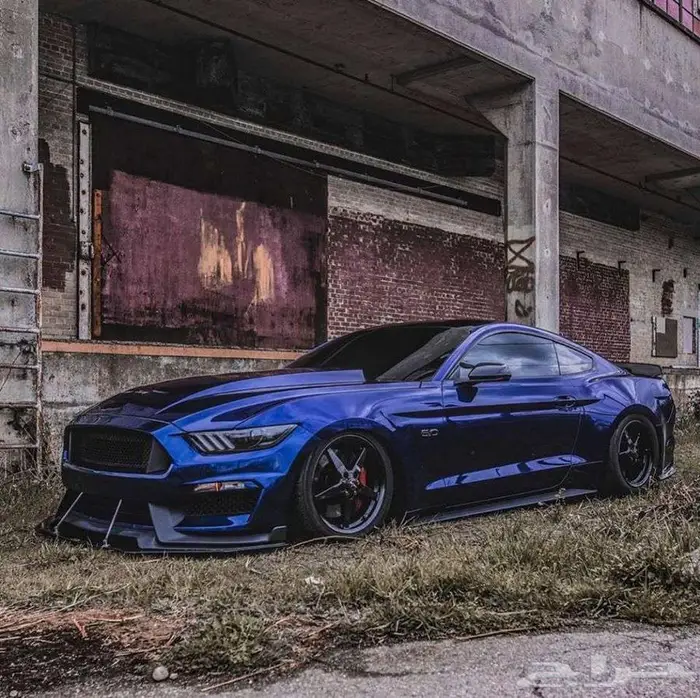 توفير جميع انواع و أحجام جنوط الريس ستار من حجم 51