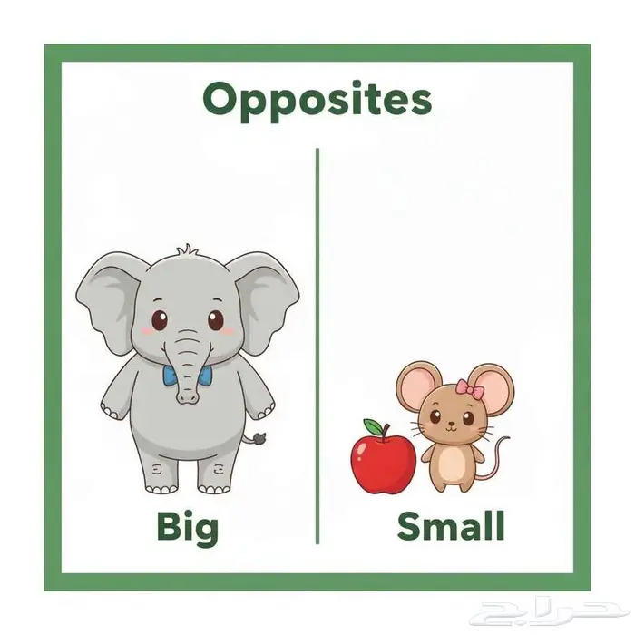 عرض ديسمبر الذهبي مع خبرة 13 عام 1