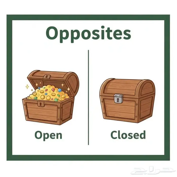 عرض ديسمبر الذهبي مع خبرة 13 عام 3