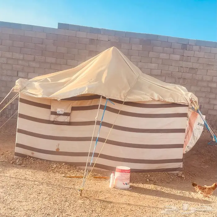 شبوك غنم وخيمه وحنفيه فيبر للبيع 2