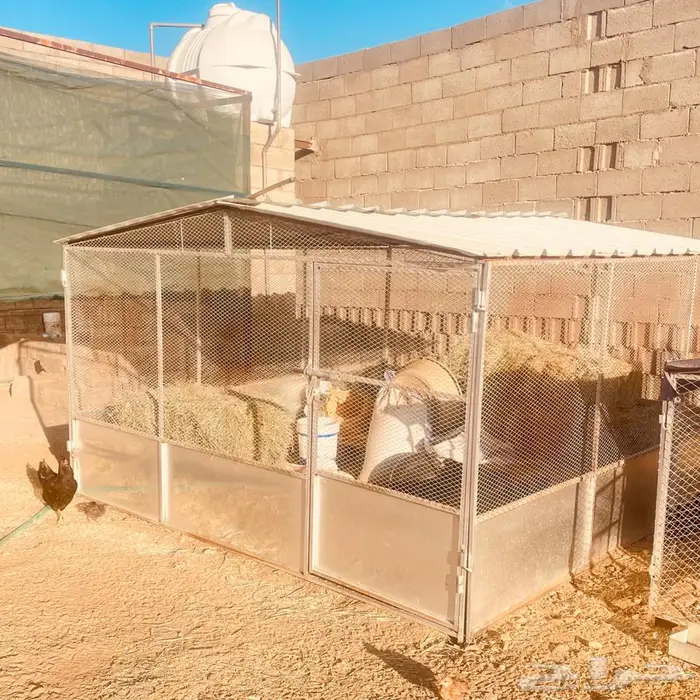 شبوك غنم وخيمه وحنفيه فيبر للبيع 7