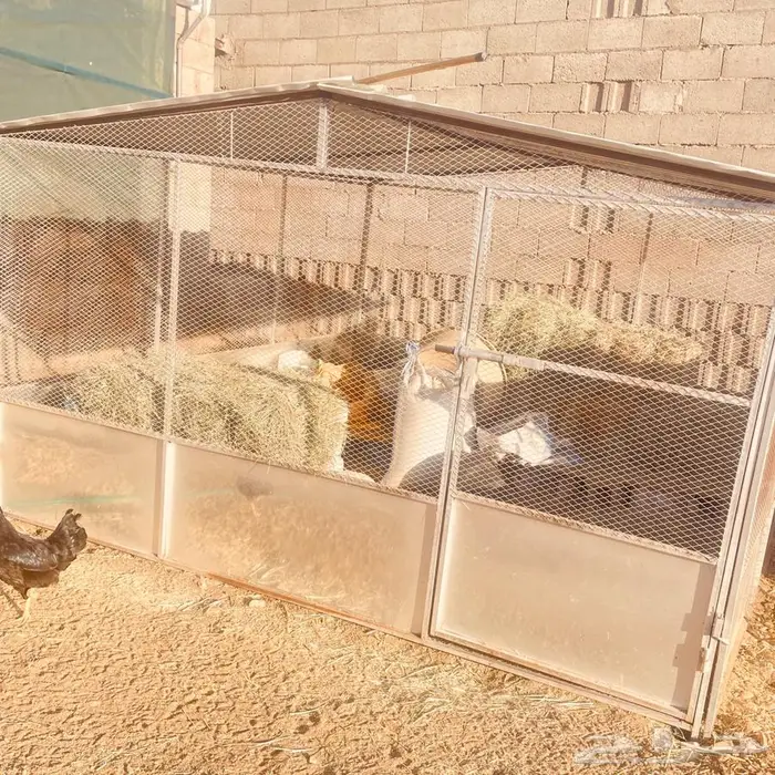 شبوك غنم وخيمه وحنفيه فيبر للبيع 11