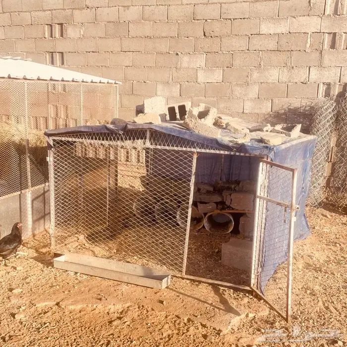 شبوك غنم وخيمه وحنفيه فيبر للبيع 6