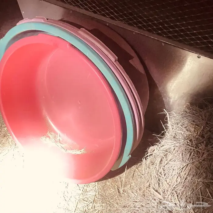 شبوك غنم وخيمه وحنفيه فيبر للبيع 14