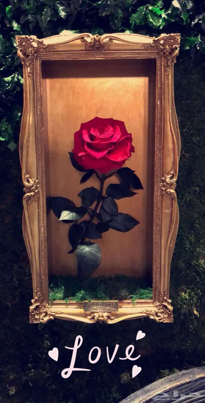 بضاعه ورود واكسسوارات 1