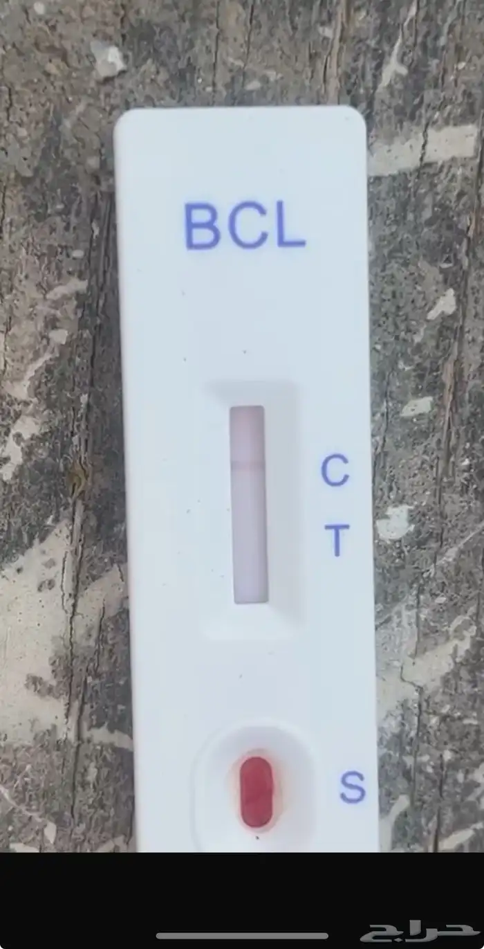 طلي نجدي صنف ومشروط 6