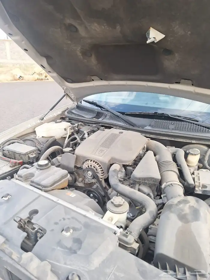 لنكون تون كار 2008 45