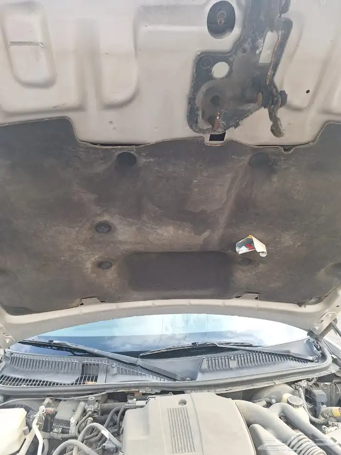 لنكون تون كار 2008 44