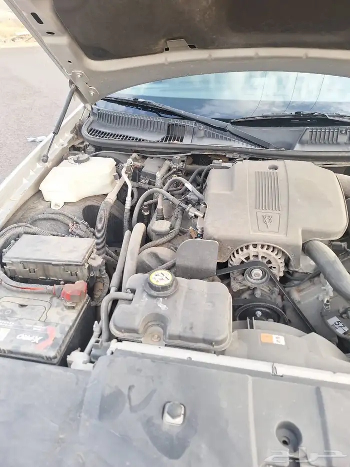 لنكون تون كار 2008 46