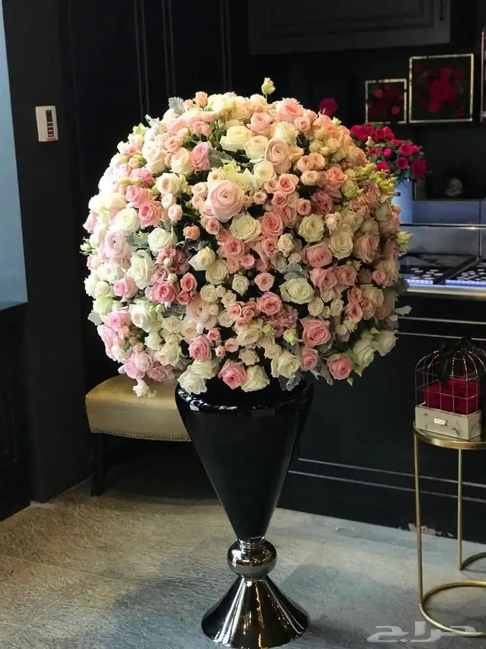 بضاعه ورود واكسسوارات 22