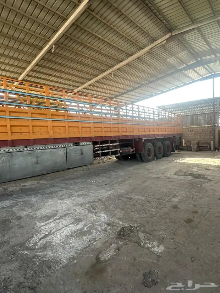 تيذر العصيمي 3 محاور 3