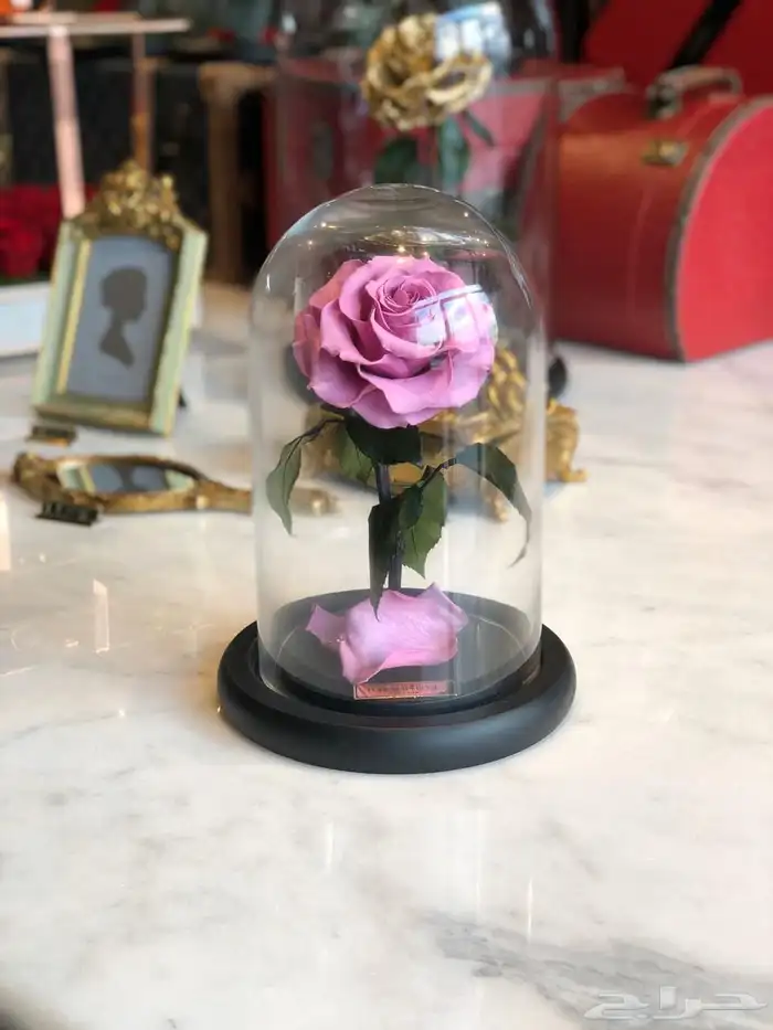 بضاعه ورود واكسسوارات 6