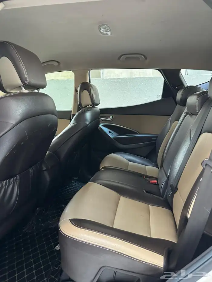 سنتافي 2015 14