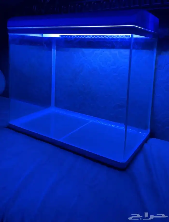 حوض سمك 3