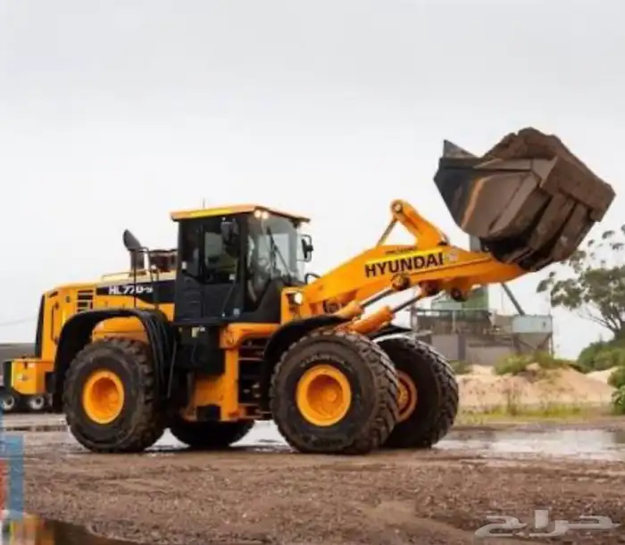 مطلوب شيول في الظهران 0