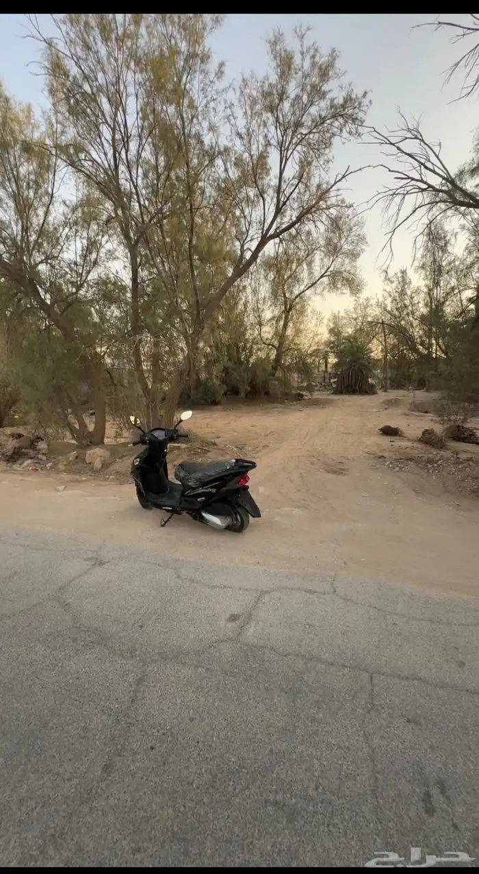 دباب بطه صيني 0