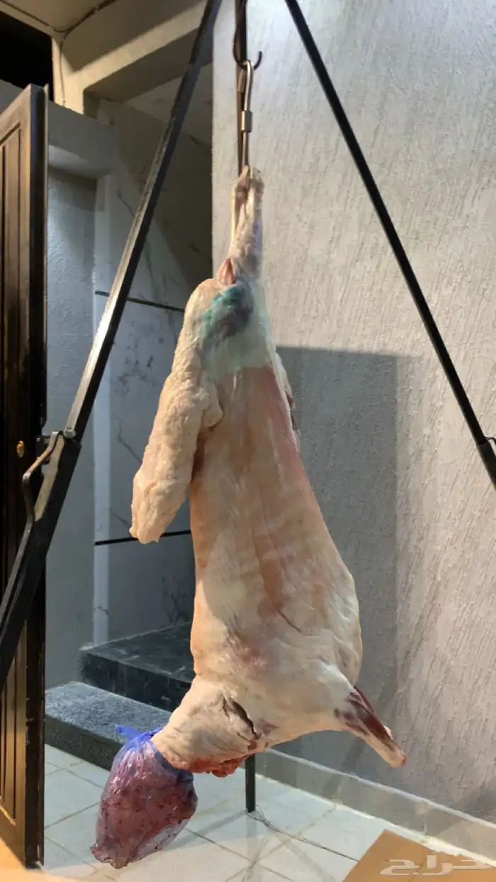 معلم مشويات خارجية 0