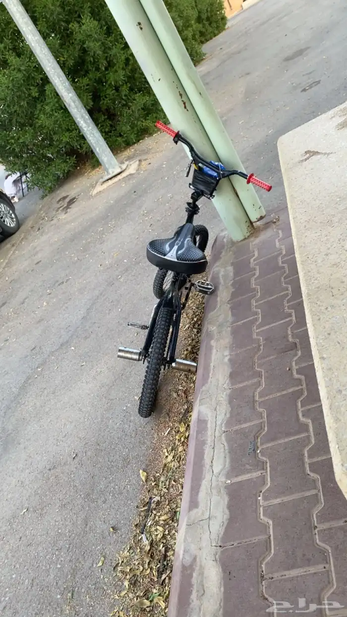 سياكل كوبرا مقاص 20 با اغراضه إلا المرتبة الحد 320 1