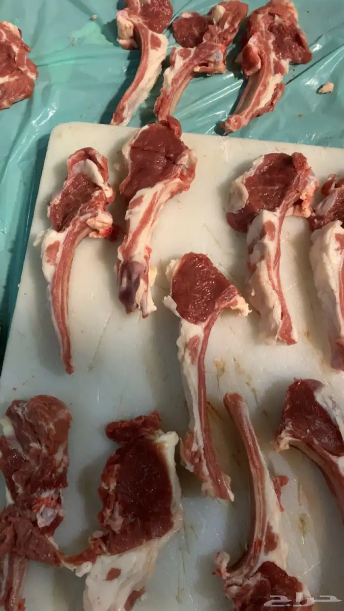 معلم مشويات خارجية 1